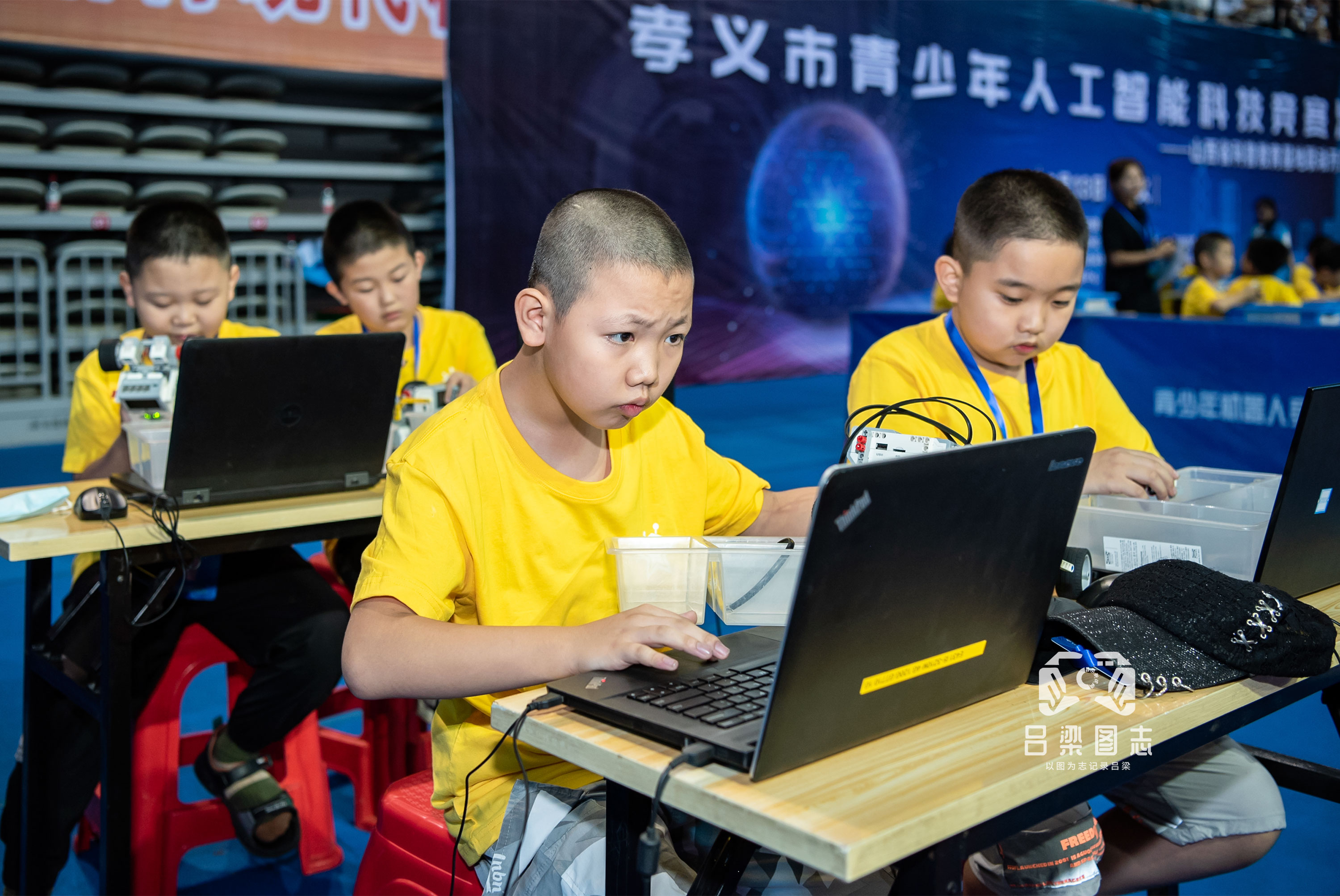 2026年少儿编程行业趋势观察：2026年赛道的结构性变化(图1)